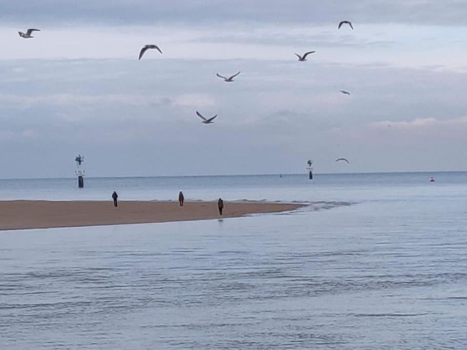 Apartment La Baleine Cabourg